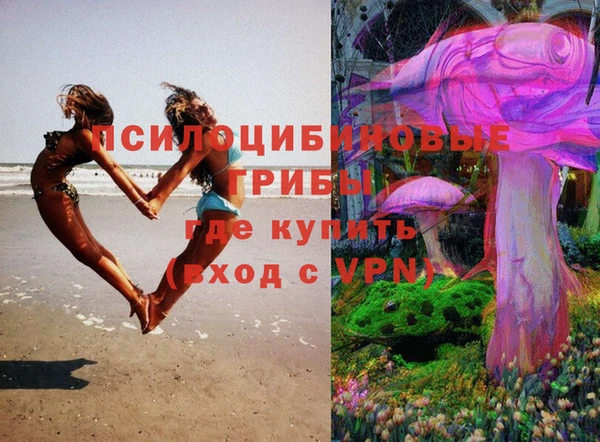 мдма Рославль