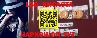 a pvp Краснознаменск
