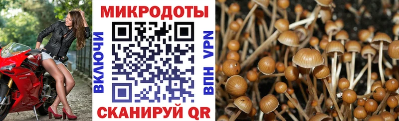 Галлюциногенные грибы прущие грибы  Кинель 