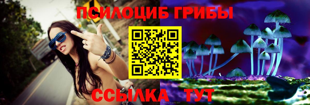 Кинель  даркнет сайт  Вход с VPN  Галлюциногенные грибы Psilocybe 