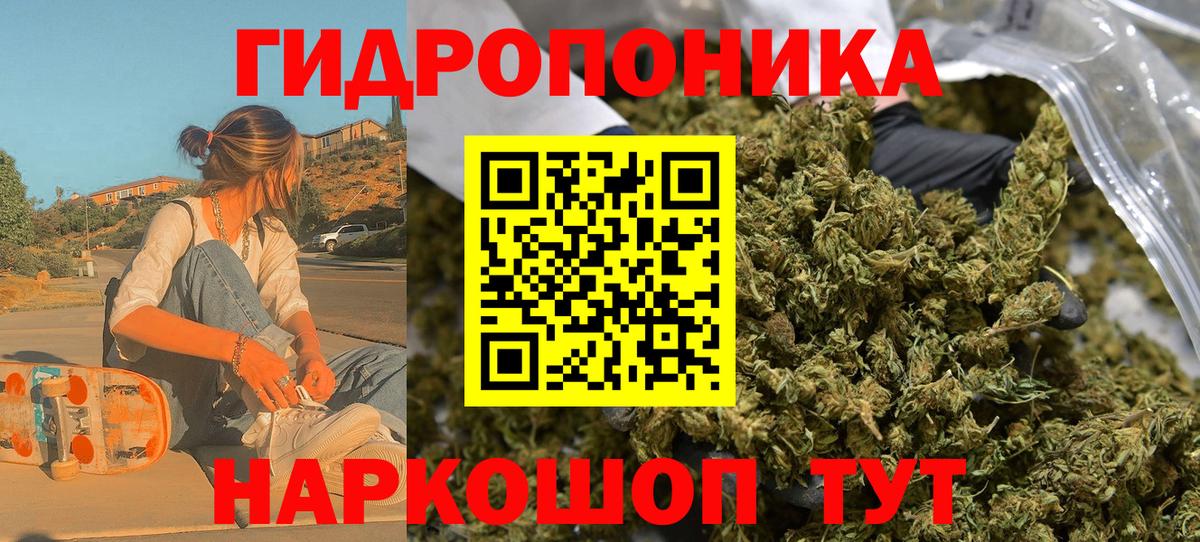 Каннабис сатива Кинель